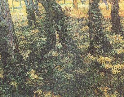 Vincent Van Gogh Tree Trunks with Ivy (nn04) oil painting image